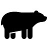 Black Bear Accounting Logo